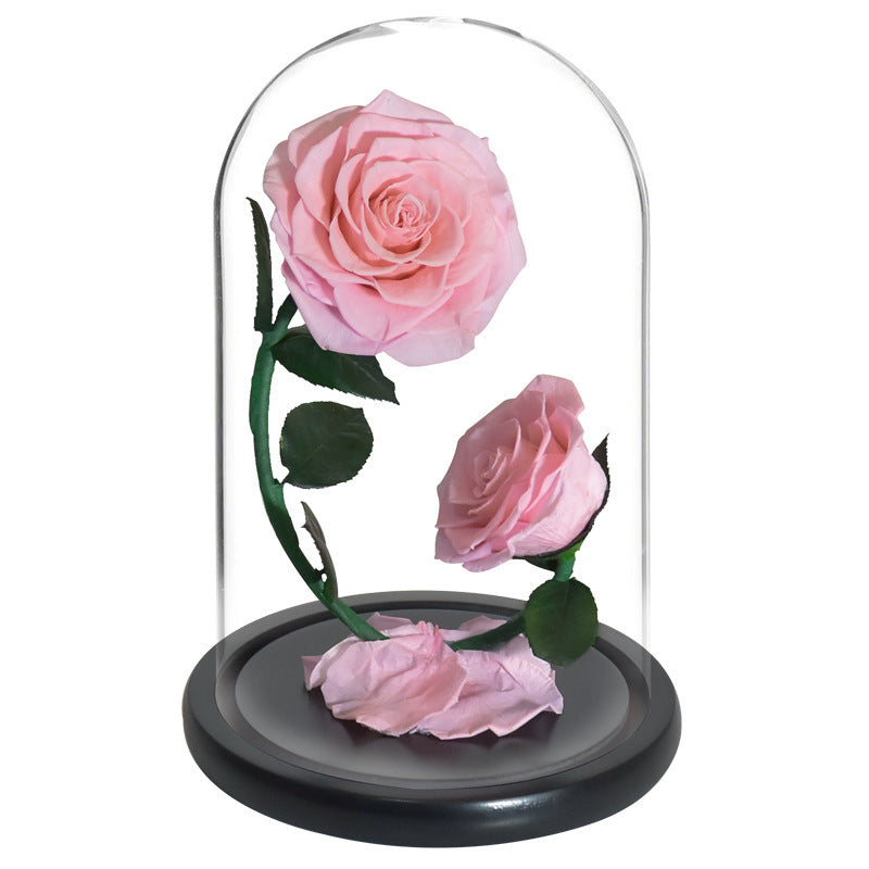 Two Preserved Roses Valentine's Day Gift