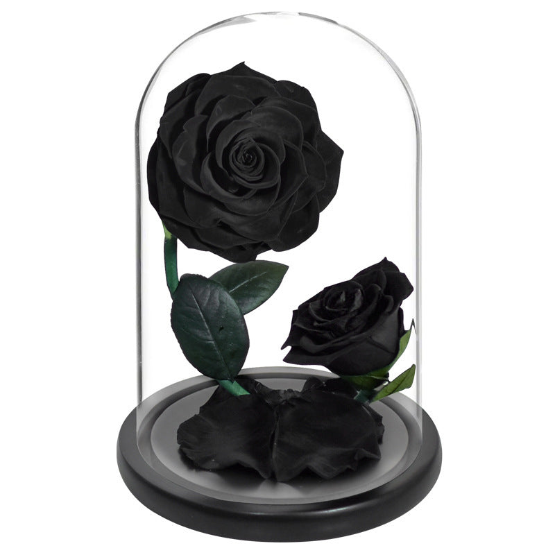 Two Preserved Roses Valentine's Day Gift