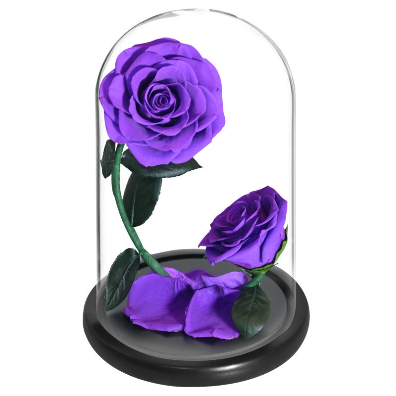 Two Preserved Roses Valentine's Day Gift