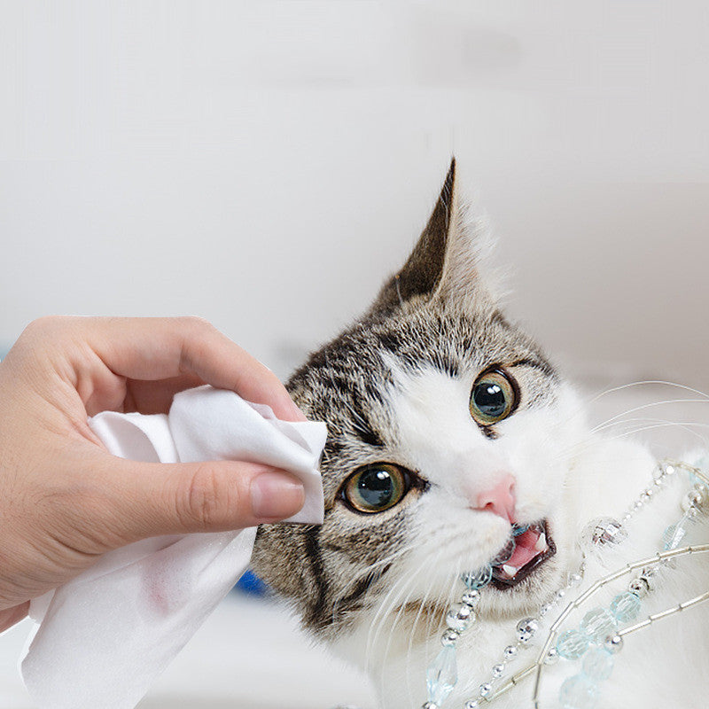 Pet Wet Tissue Special Cleaning And Wiping Supplies