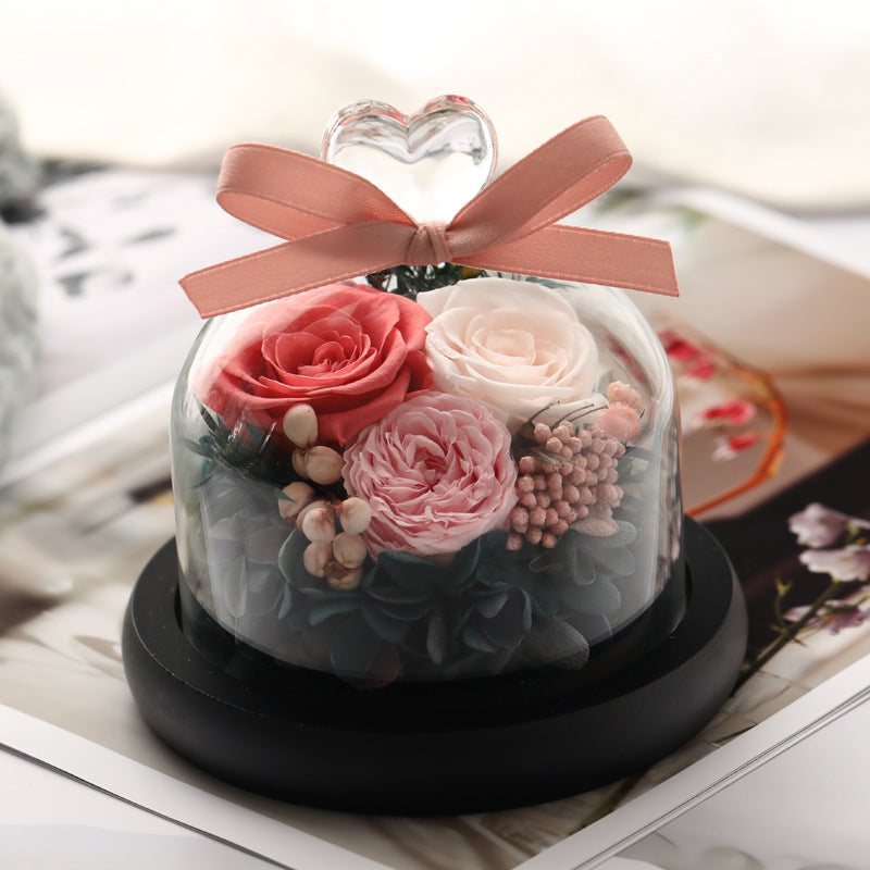 Valentine's Day immortal flower in glass cover