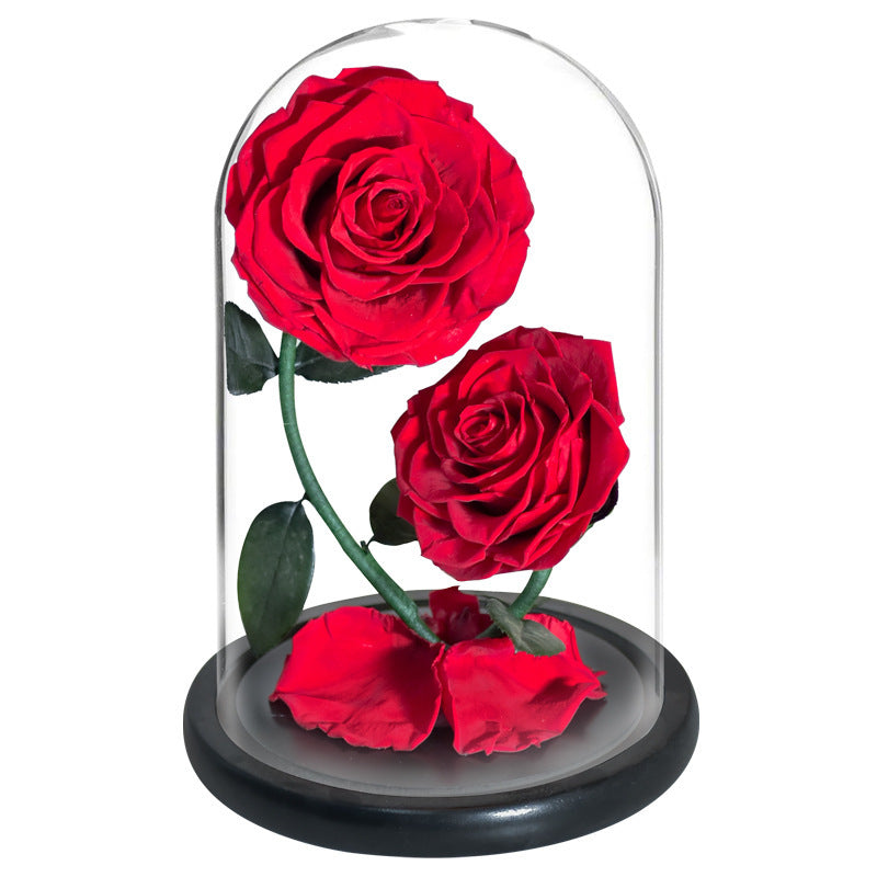 Two Preserved Roses Valentine's Day Gift