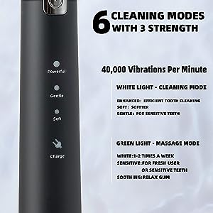 Electric Toothbrush with 8 Brush Heads