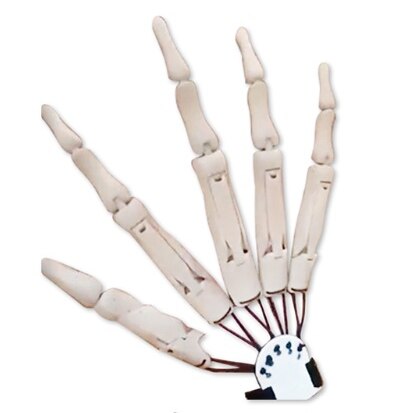 Halloween Articulated Long Fingers Glove