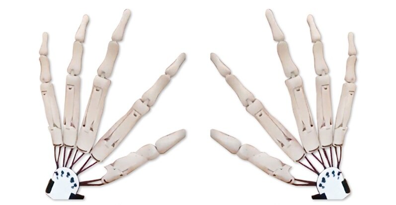 Halloween Articulated Long Fingers Glove