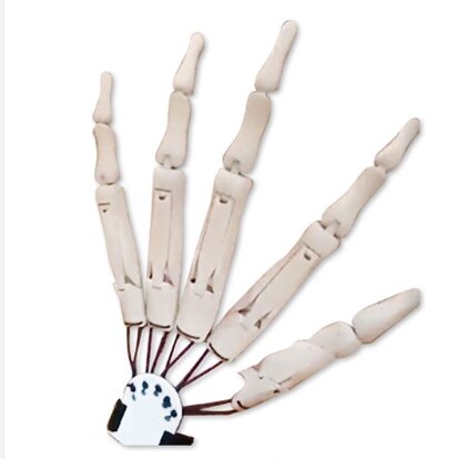 Halloween Articulated Long Fingers Glove