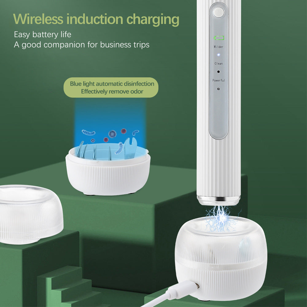 Instrument Specially For Dental Cleaning Visual Ultrasonic Removal Of Dental Calculus